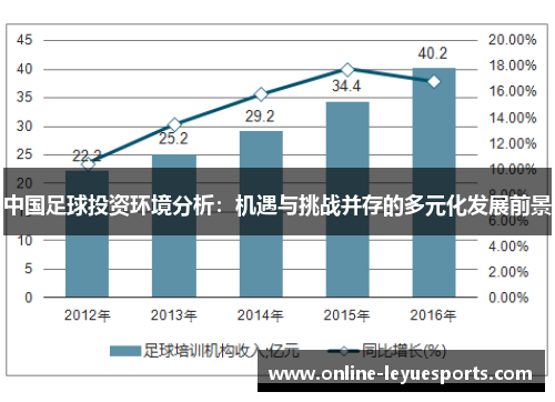 中国足球投资环境分析：机遇与挑战并存的多元化发展前景