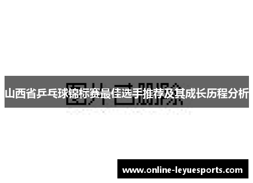 山西省乒乓球锦标赛最佳选手推荐及其成长历程分析